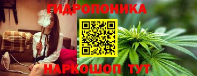 бошки Донецк