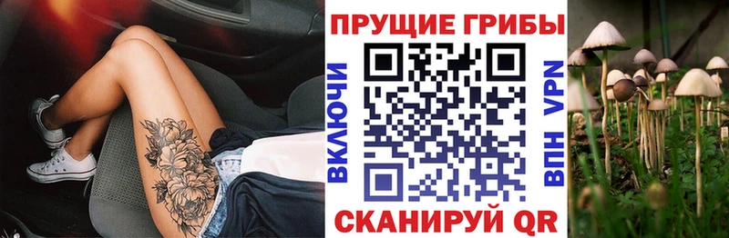 цены   Кунгур  Галлюциногенные грибы GOLDEN TEACHER 