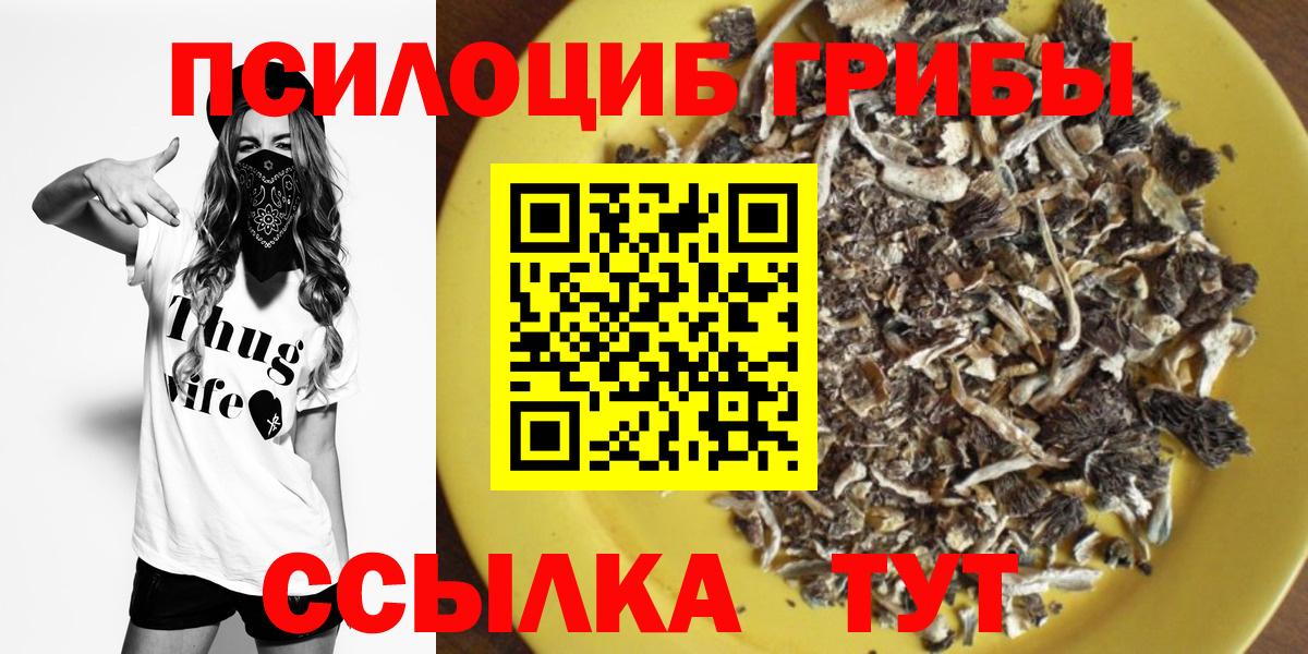 Псилоцибиновые грибы прущие грибы Кунгур