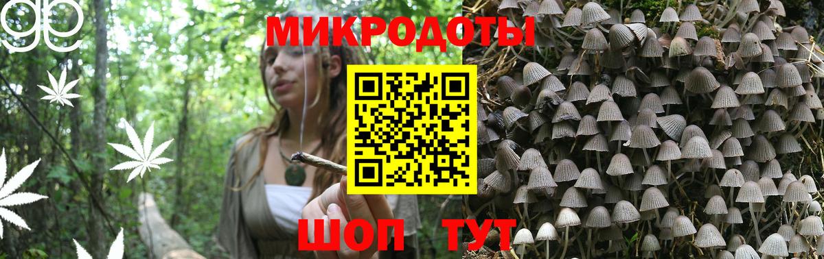 Псилоцибиновые грибы GOLDEN TEACHER  Кунгур 