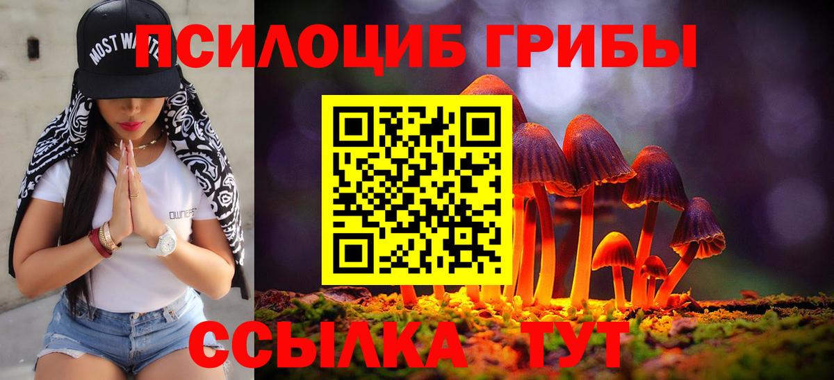 купить   Псилоцибиновые грибы Psilocybe  Вход с VPN  Кунгур 